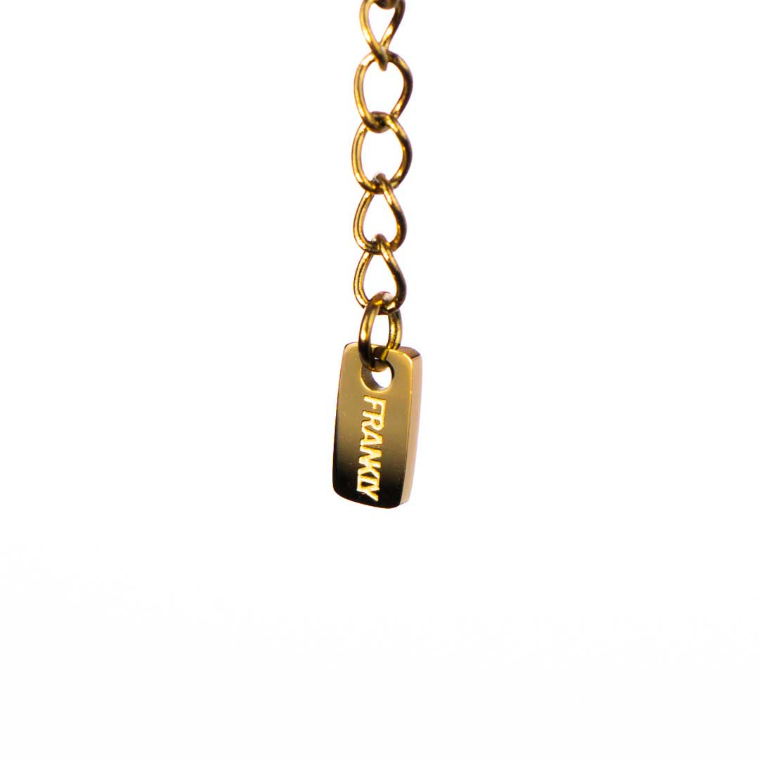 Fuck Em - 18k Gold Plated Friendship Necklace